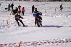 PICT0008