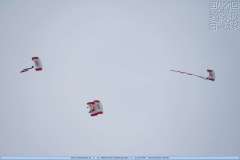 260124_MarcSchwarz_GosauSkijoering_7647
