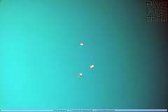 DSCF3495