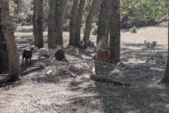 PXL_20250921_103436937