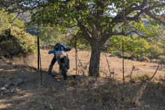 PXL_20250925_061133829