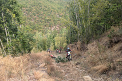 PXL_20250925_093657181