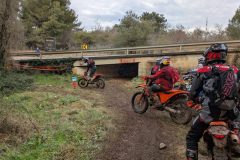 PXL_20260207_140403713-scaled