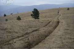 istria_08_026