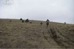 istria_08_028
