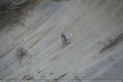 istria_08_043