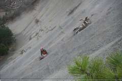 istria_08_045