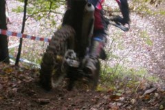 DSCN0703