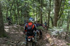 PXL_20250528_100220671-scaled