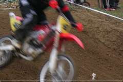 PICT0099