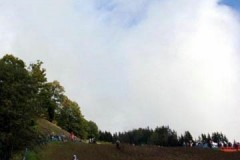 10040041