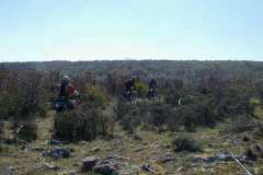 vrsar2002_41