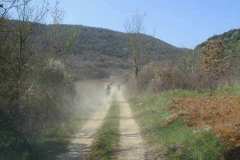 vrsar2002_50