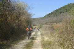 vrsar2002_51