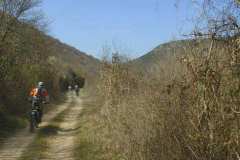 vrsar2002_52