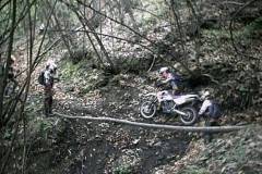 italien2002_norman_01