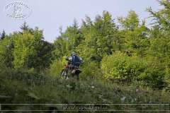 kalmberg_04_012