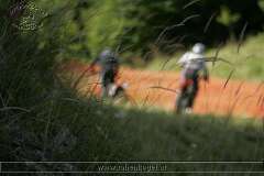 kalmberg_04_060