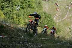 kalmberg_04_135