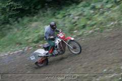 kalmberg_04_246