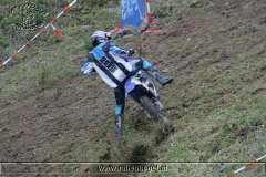 kalmberg_04_265
