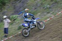 kalmberg_04_282