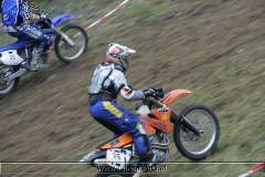 kalmberg_04_293