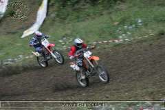 kalmberg_04_294